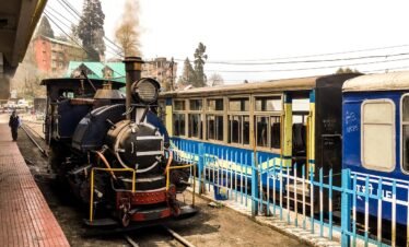 toy train, darjeeling, train, smoke, coal train, engine, train engine, nature, old, ancient, indian railways, epic, journey, travel, landmark, toy, india, bengal, railway, history, gauge, transport, transportation, west, mountain, historic, historical, rail, ghoom, heritage, small, traditional, unesco, station, traffic, tourist, asia, himalayan, locomotive, track, railroad, world, narrow, famous, steam, brown train, brown smoke